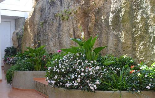 Apartamento Coral Villa