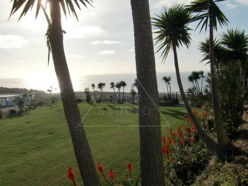 Apartamento The Surf Studio - Ericeira
