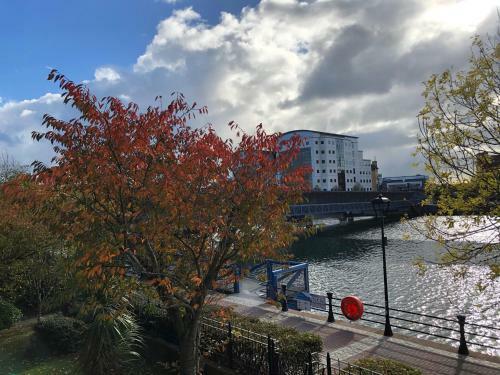 Apartamentos Lagan View - The Perfect Location In The City