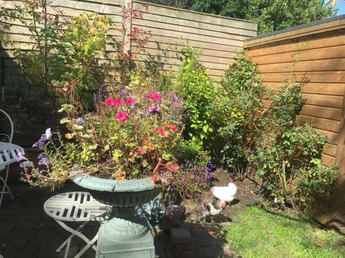 Hostal Brackenberry