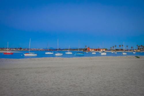 Ormond Adventure