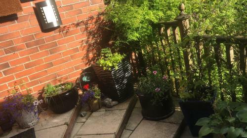 Apartamento Isolated Self'contained Studio In Leafy Belfast