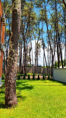 Hostal Dayoff-shekvetili