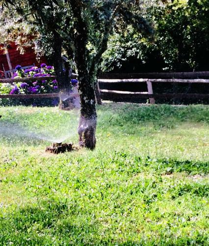 Agroturismo Casa Do Ouri�o