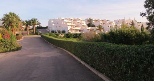 Three Palms Apartment