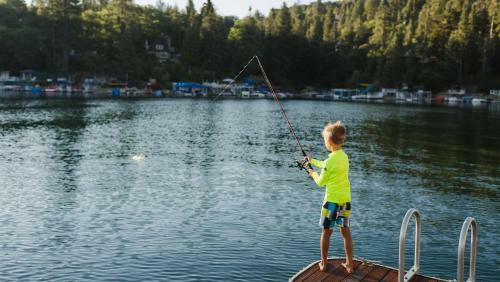 Silvertip Hideaway