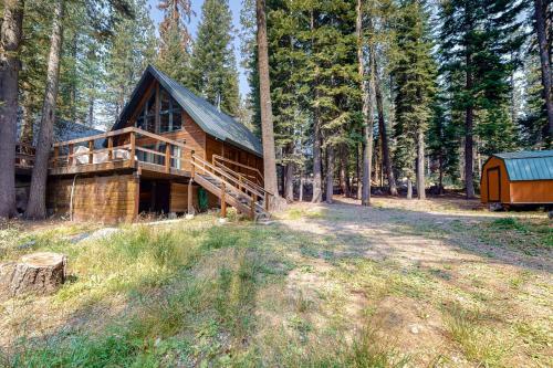 Peaceful Cabin In The Woods