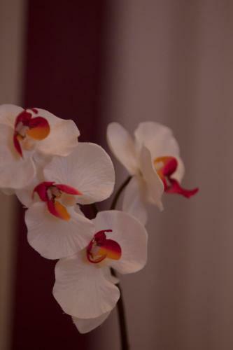 Logis Hotel Le Nuage