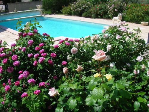 Bed & Breakfast Le Mas Des Baux