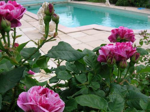 Bed & Breakfast Le Mas Des Baux