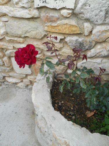 Bed & Breakfast Le Mas Des Baux