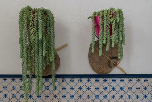 Hostal Chez Odete
