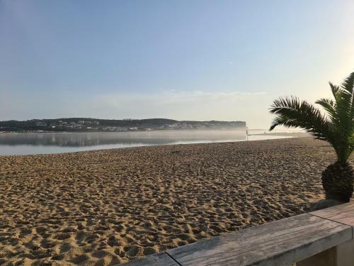 Apartamento P� Na Praia Da Foz