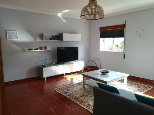 Apartamento Camar��o Violante