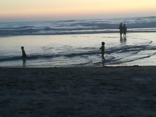 Apartamento Camar��o Violante