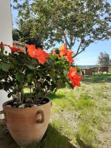 Apartamento ***** Quinta Do P�r Do Sol *****