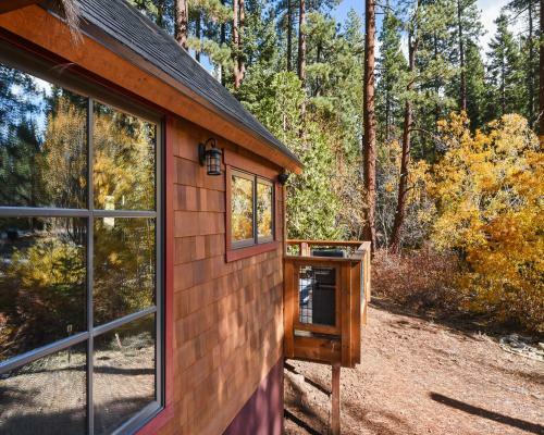 Lewis Lair Cabin Cabin