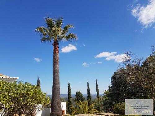 Apartamento Monte-bougainvillea