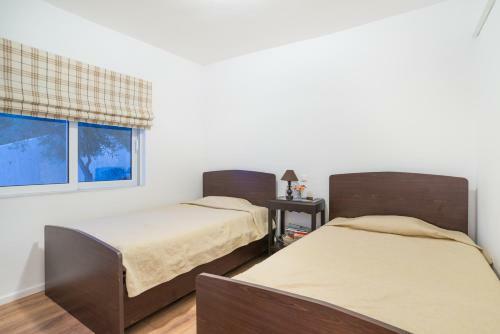 Epipleon Suites