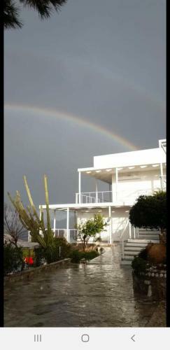 Epipleon Suites