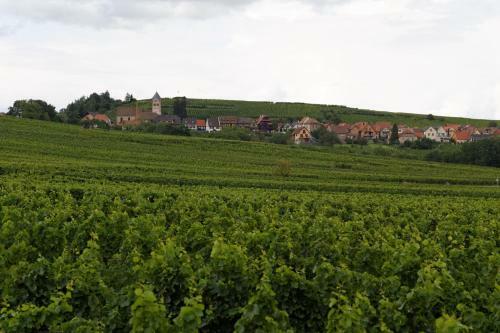 G�te Roland Geyer