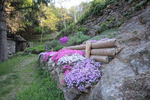 Apartamento L'antico Borgo