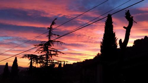 Bed & Breakfast La Bergerie St Antoine