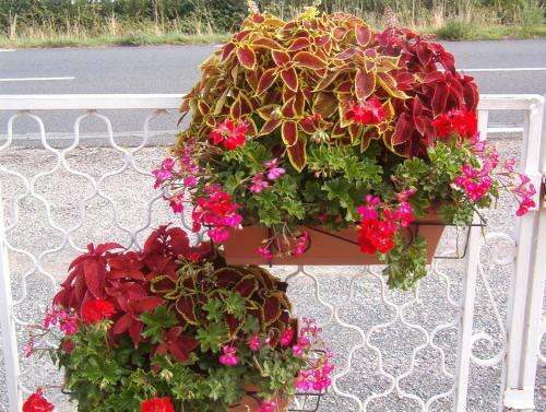 Bed & Breakfast La Long�re Des Gillettes