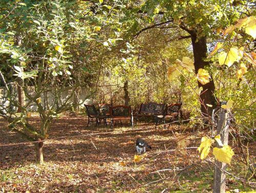 Bed & Breakfast La Long�re Des Gillettes