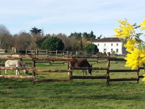 Hostal Les Grandes Maisons