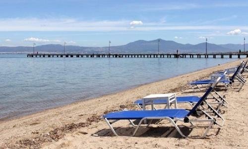 Lovely Apartment 50m From The Beach!