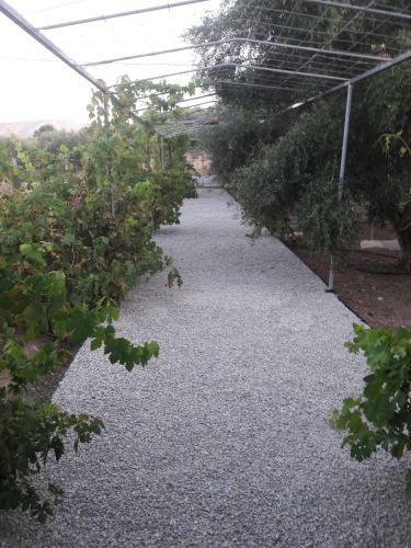 Mitato Private Villa