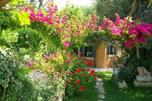 Apartamento Galatia Red