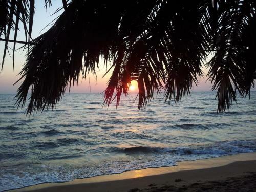 Comfortable Apartment Near The Sea