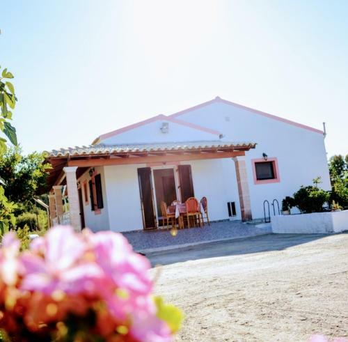 Villa Vicky Corfu