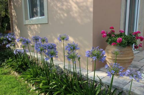 Stone Rose Villa