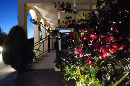 Agios Leon Apartment