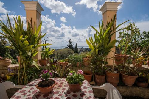 Iokasti House Ipsos Corfu