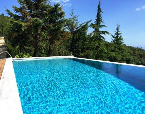 Art Luxury Resort Villa