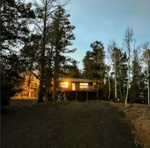 Evergreen Cabin