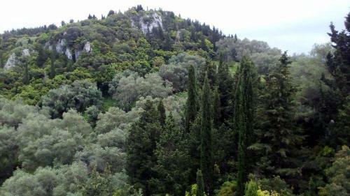 Bed & Breakfast Kostas Walkers Point