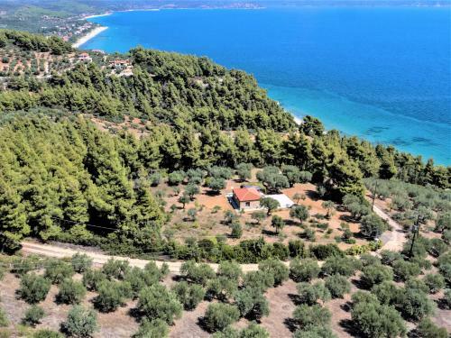 The Ideal Secluded Retreat
