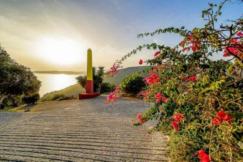 Hostal Art Studio Kefalonia