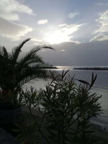 Apartamento Stellasbeachresort