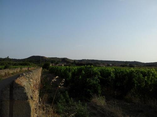 Bed & Breakfast Millot Conilhac