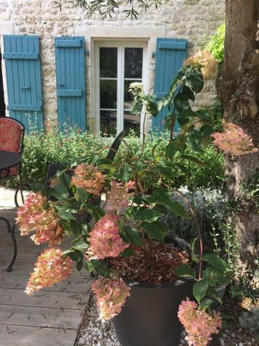 Bed & Breakfast La Chaumeauniere