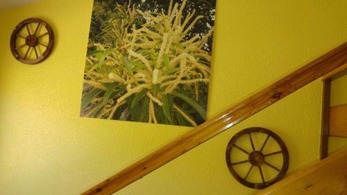 Hostal El Peregrino