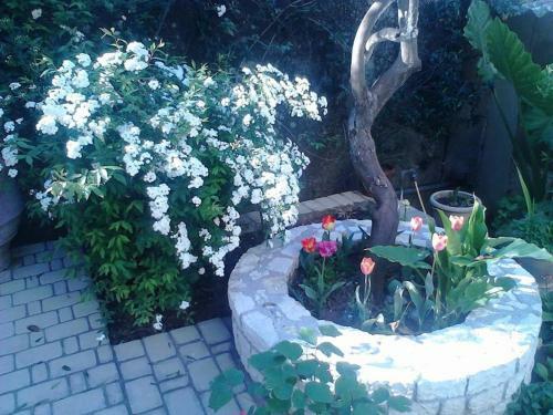 Apartamento Blue Flowers