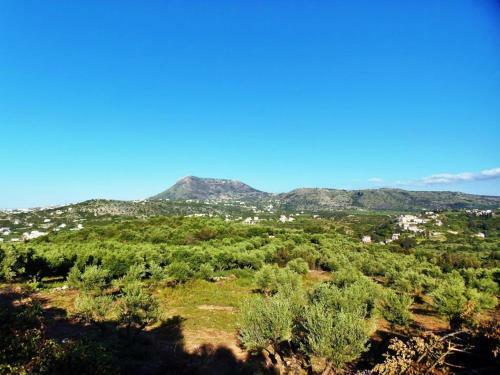 Agroturismo Manoli's House