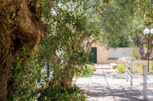 Oliva Holiday Homes Exotic Studio